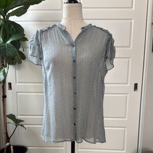Banana Republic 100% Silk Women's Sheer Blue Button-Up Top